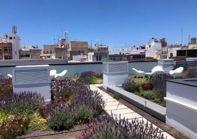 Zen Garden Lejlighed Las Palmas de Gran Canaria Eksteriør billede