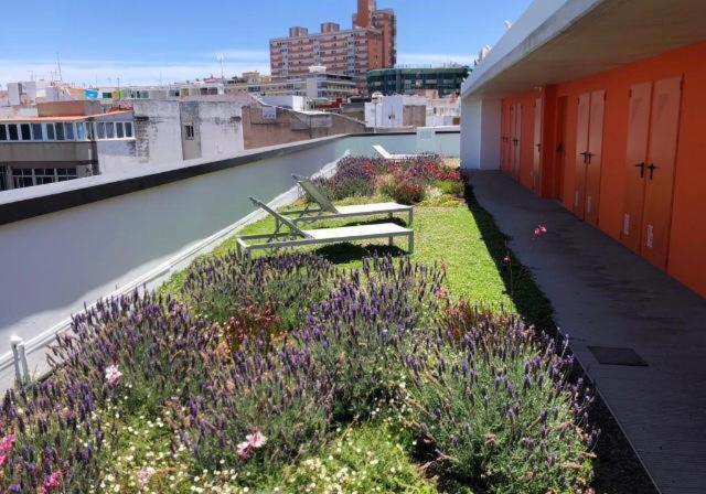 Zen Garden Lejlighed Las Palmas de Gran Canaria Eksteriør billede